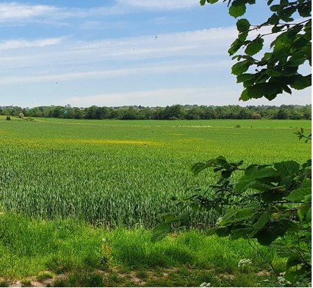 Woodoaks Farm