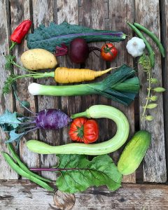 Allotment vegetables