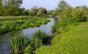 Croxley Common Moor