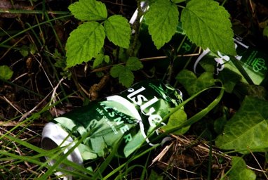Litter - a drinks can